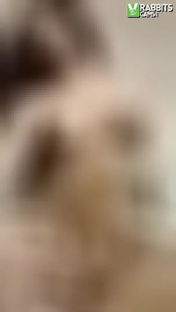 Artiest Samy_Rogers Video 2