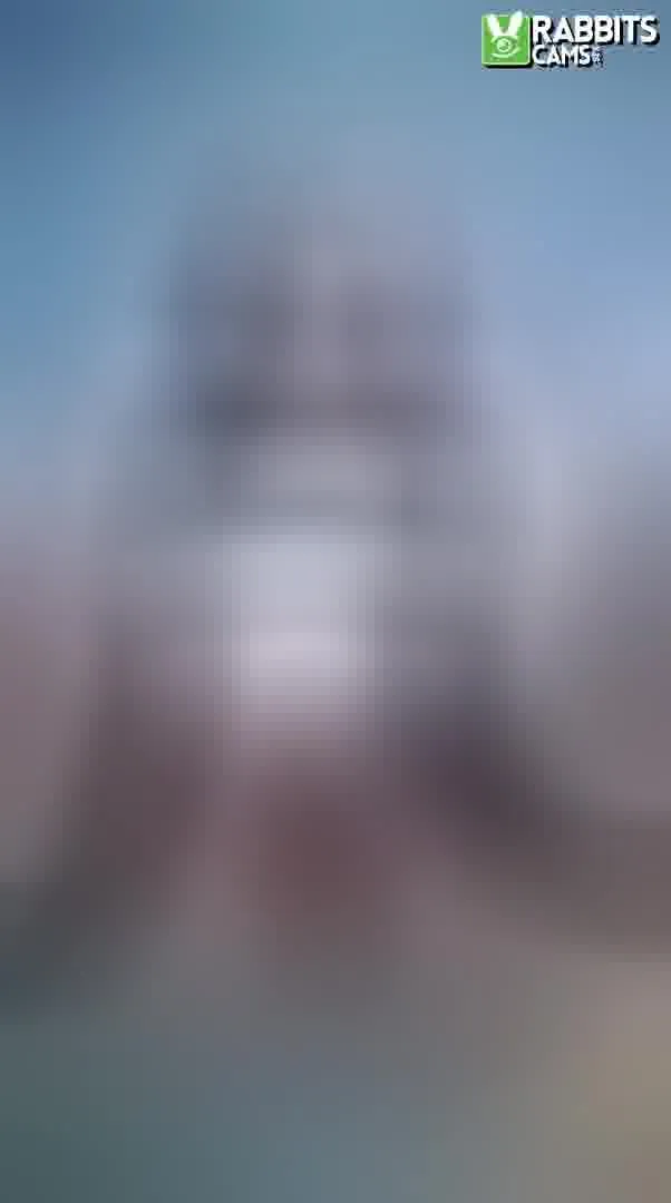 Interprète WandaRobertss Vidéo 3