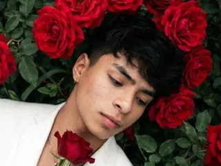 angel_david_ad