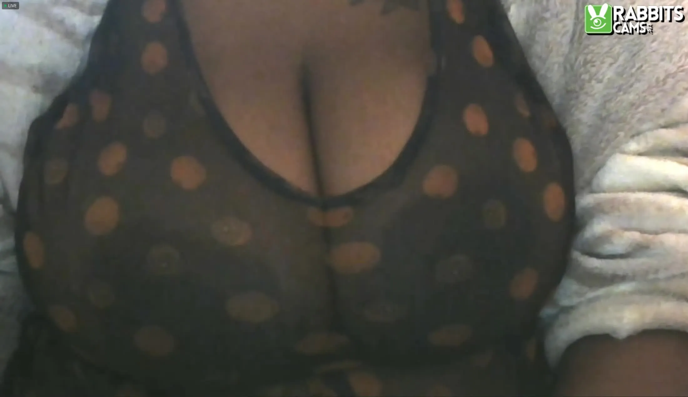 Interprete AFRICANCURVYBOOTYXXX Video 1