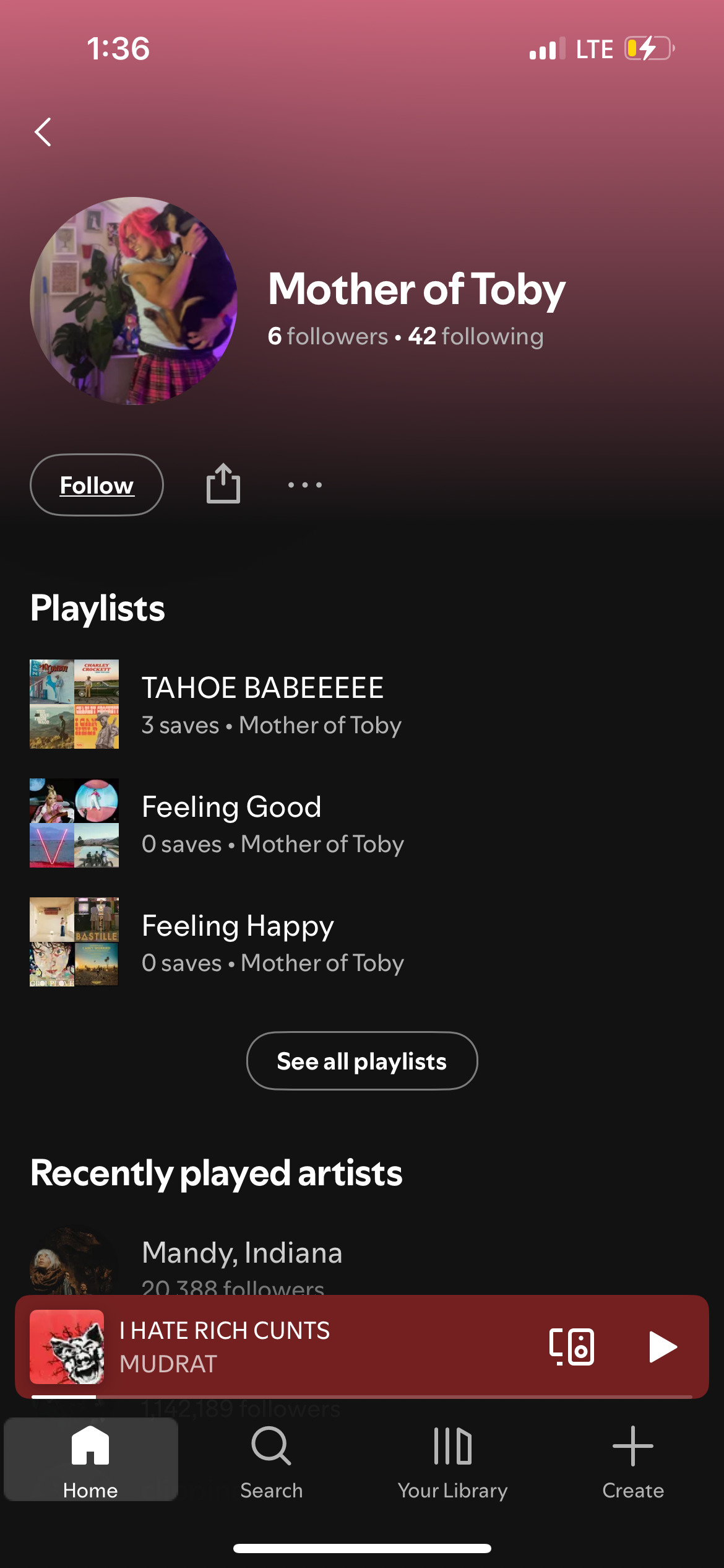 Interprete KinkyCanner Foto 6