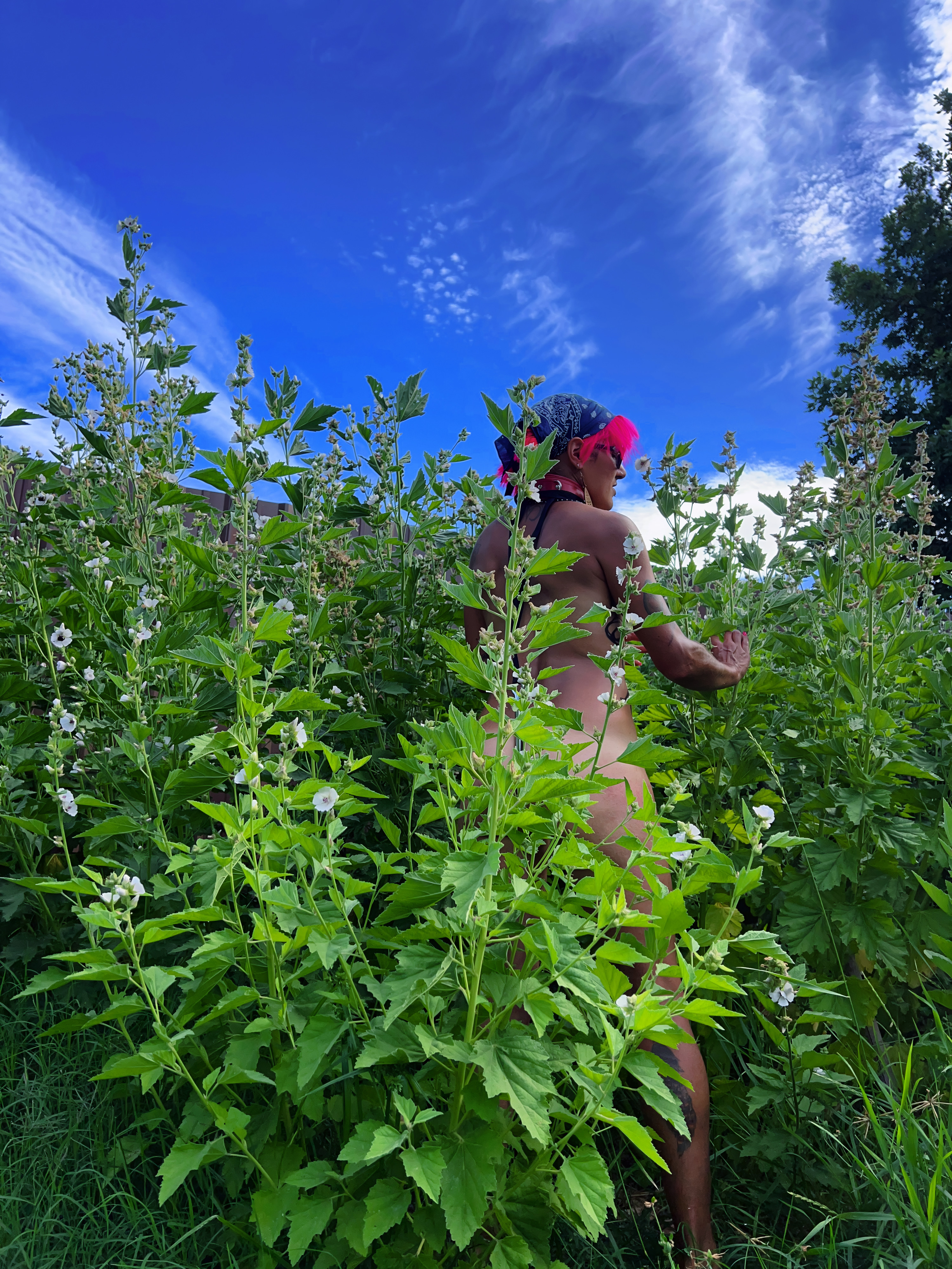 Interprete KinkyCanner Foto 7