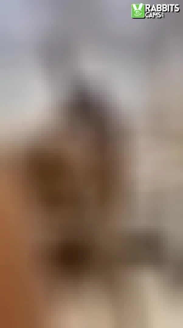 Interprète MelisaaFoster Vidéo 4