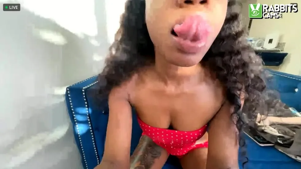 Darsteller Artistworldd Video 1