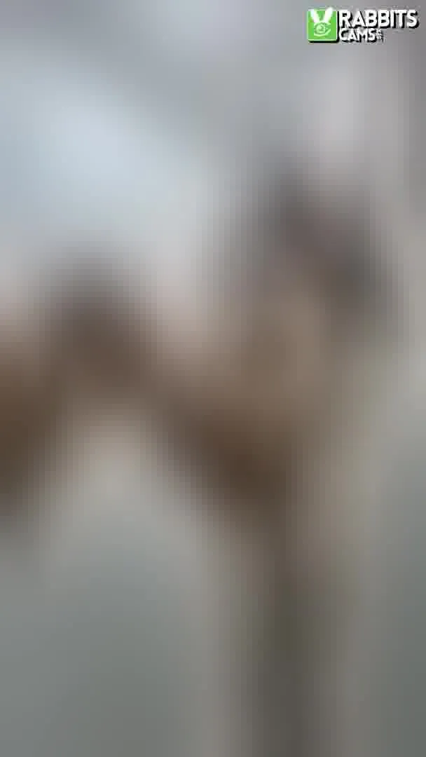 Darsteller AliiceReed Video 1