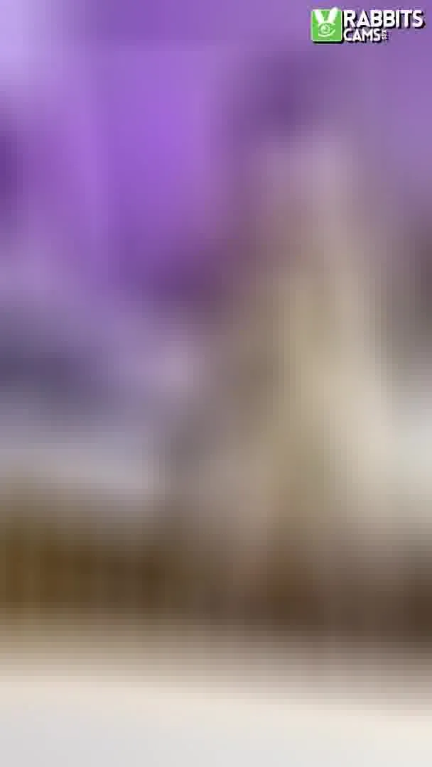 Artiest Dulcenea19 Video 2