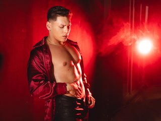 Imagen de perfil de modelo de cámara web de NiklasBraun