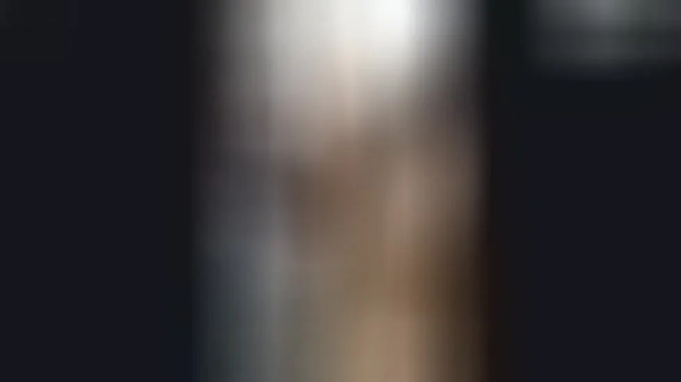 Interprète MarielaRangel Vidéo 1