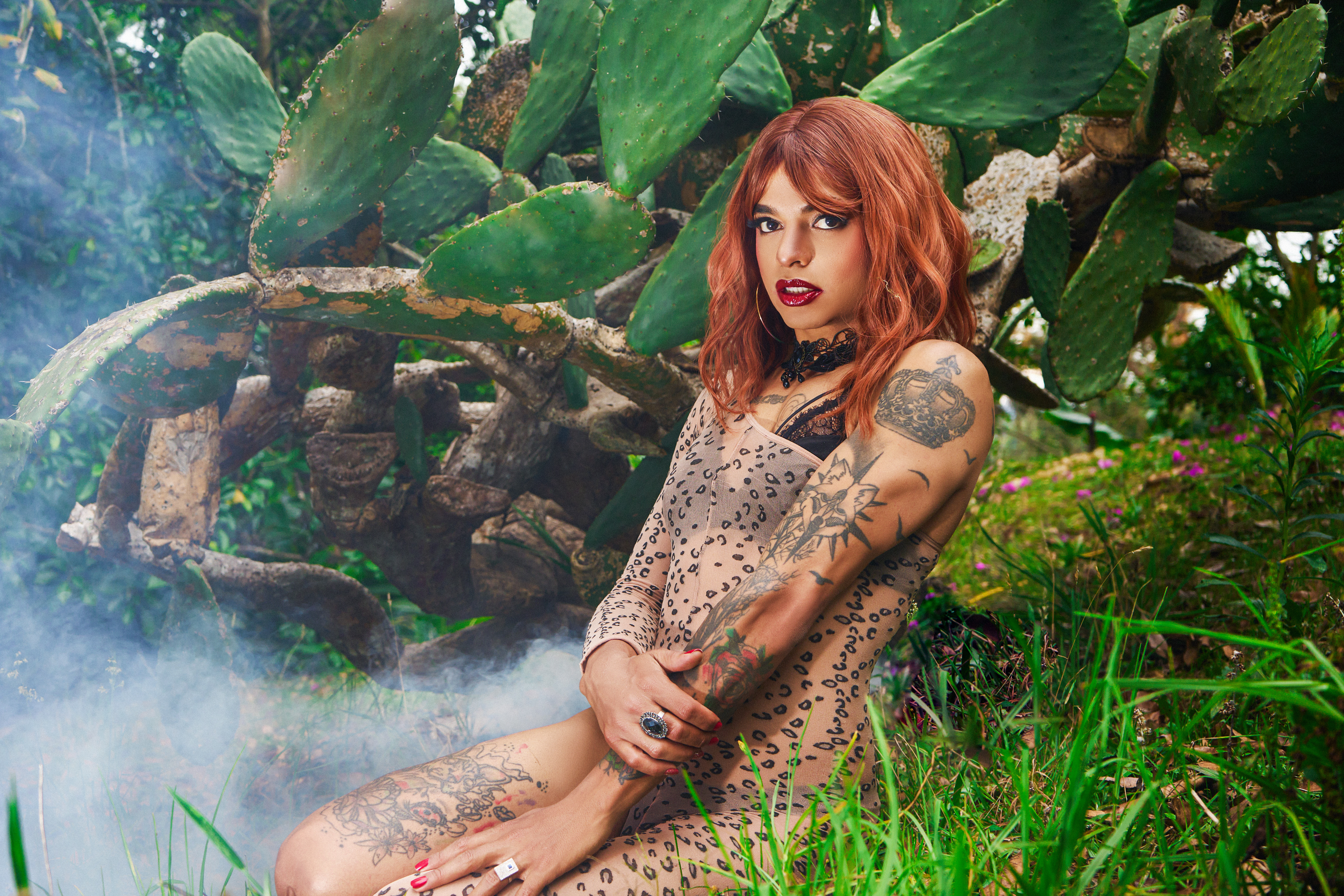 Interprete lexajhonss Foto 6