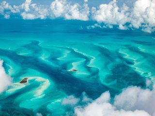 CalumBlueBee Profilbild des Cam-Modells