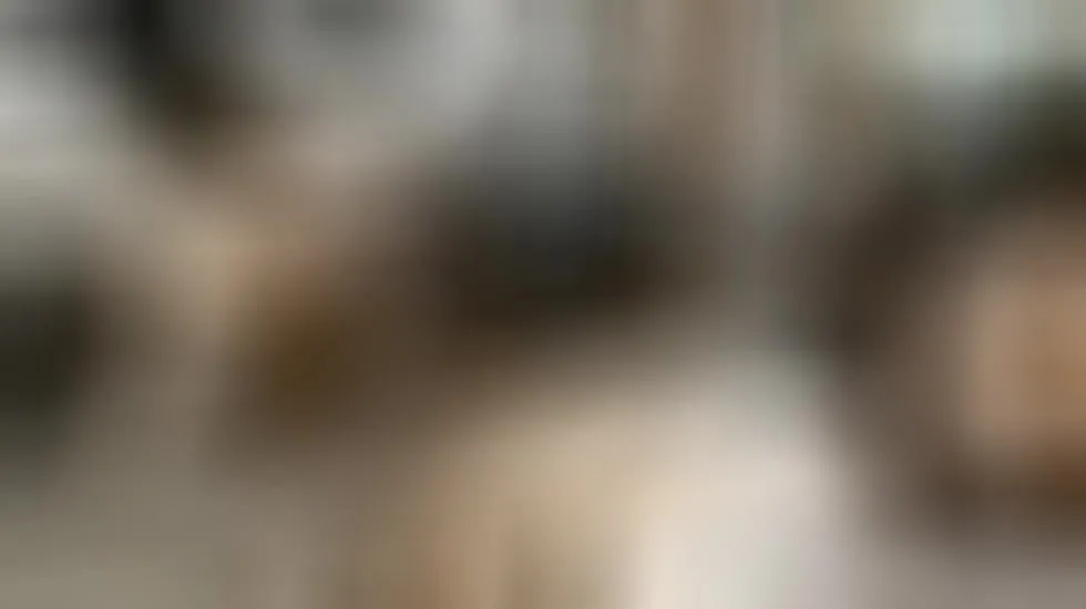 Interprete EmilyHunnter Video 1