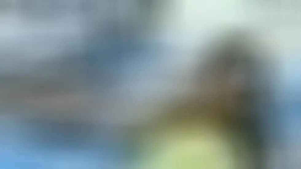 Artist BetzLee Video 1