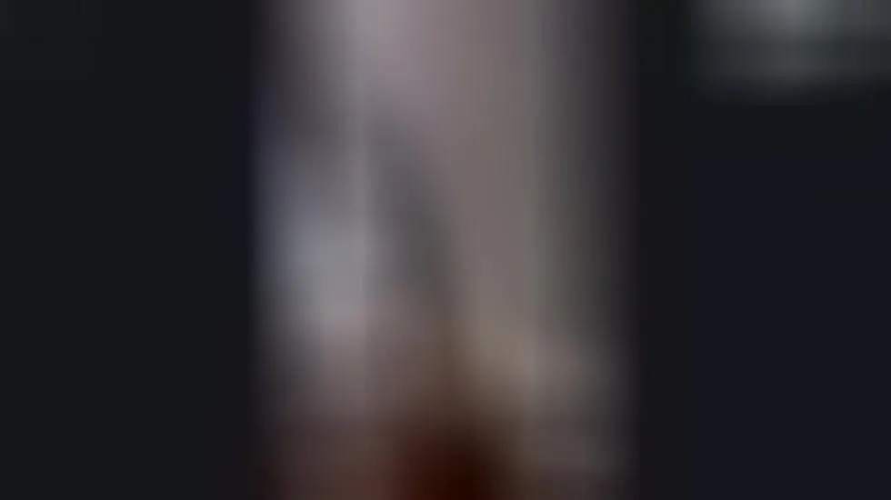 Darsteller EvaniaX Video 4