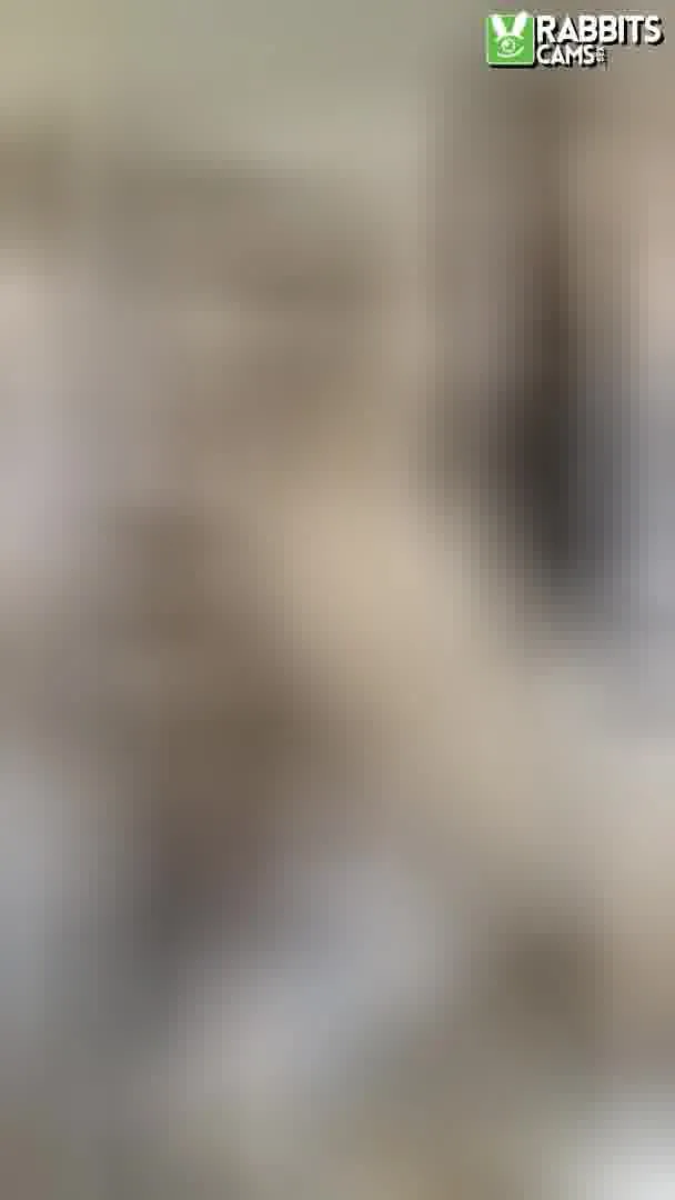 Performer LexiiBoling Video 3
