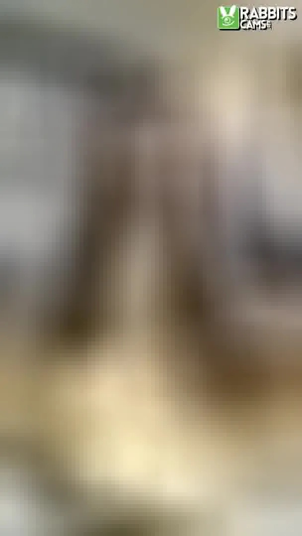 Performer LexiiBoling Video 2