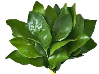 Foto de perfil de modelo de webcam de CindyChunny