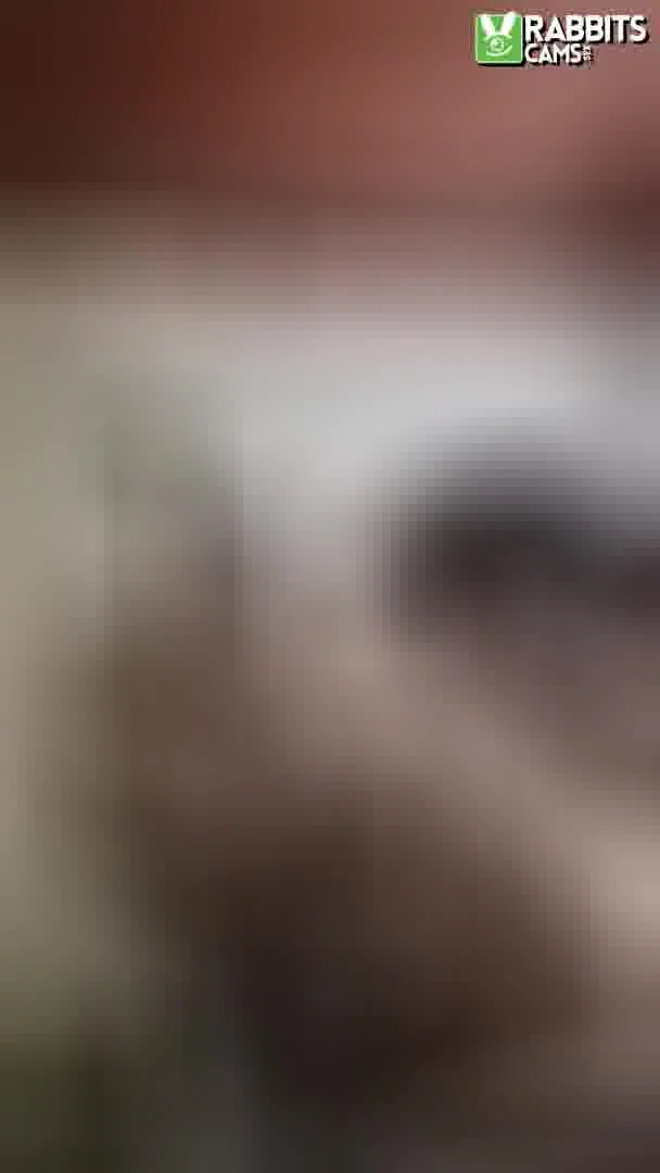 Utøver HannaSlonne Video 1