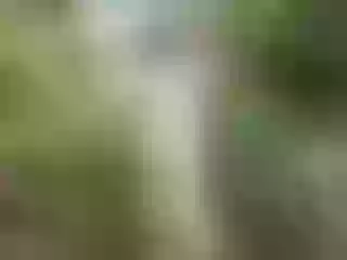 Imagen de perfil de modelo de cámara web de MiguelSantoz