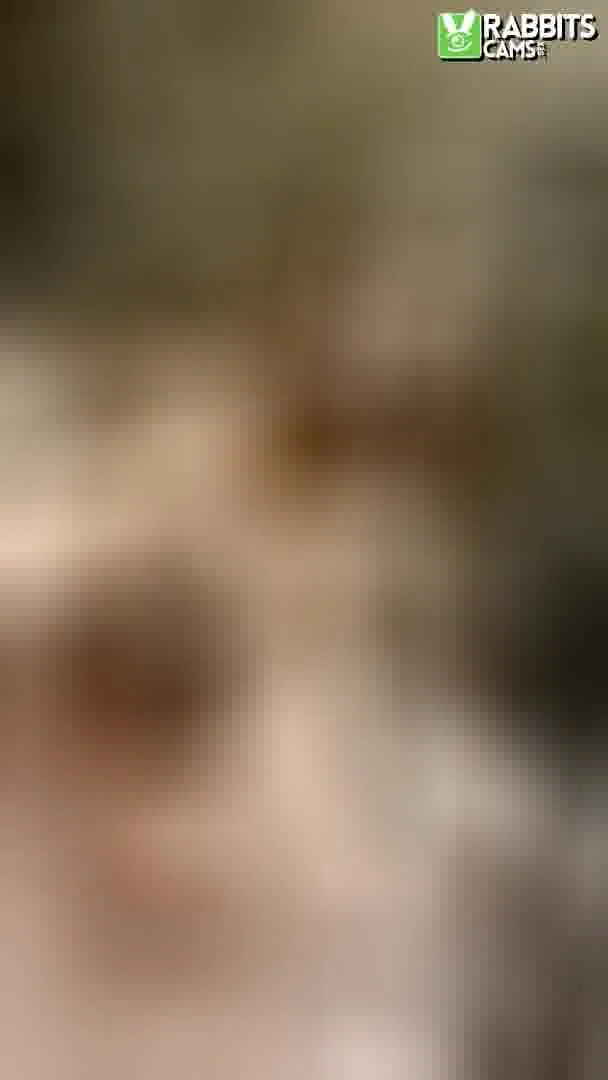 Artiest larabrook Video 3