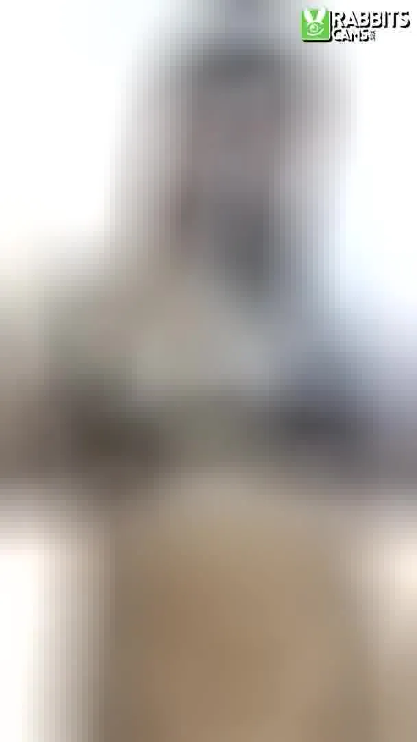 Interprete RenattaJimenez Video 2