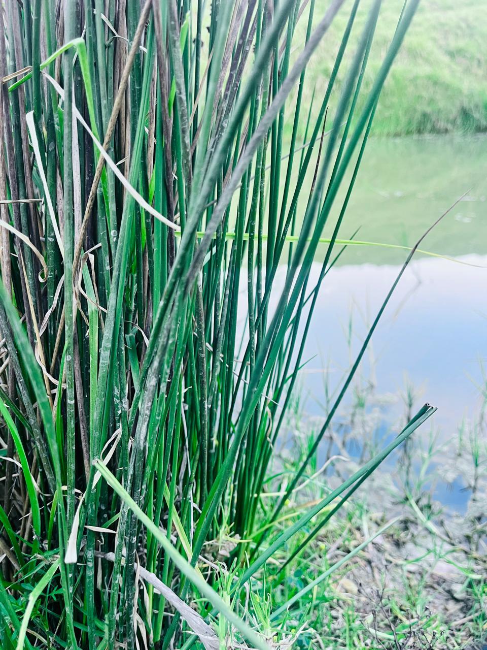 Darsteller AaronFordd Foto 1