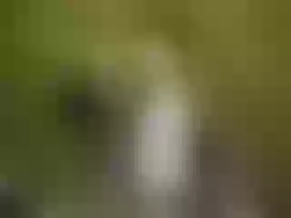 AntonelloVanuccii cam model profile picture