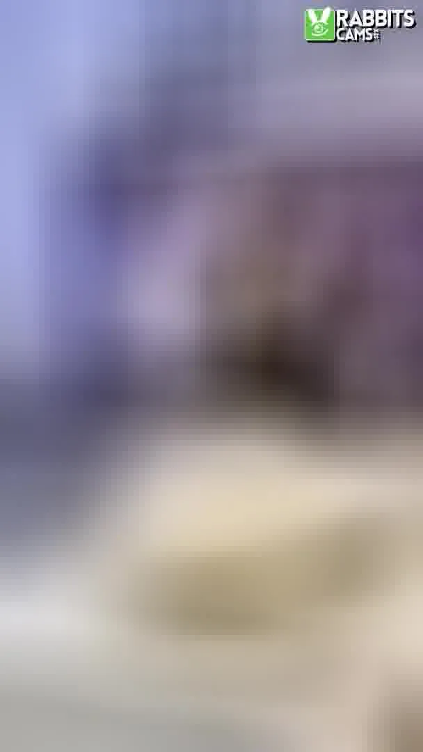 Artiest Lady_slim Video 2