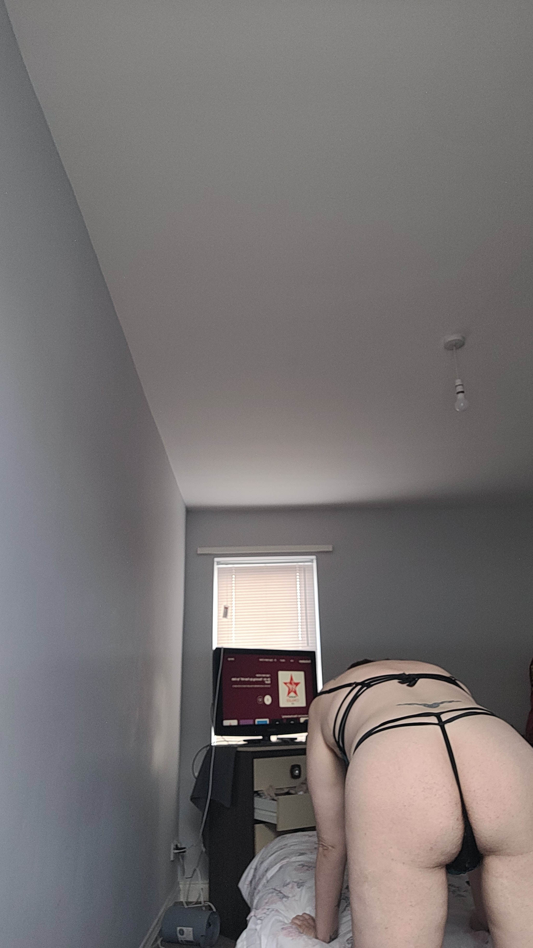 Artista Seductivescarlettxo Foto 5