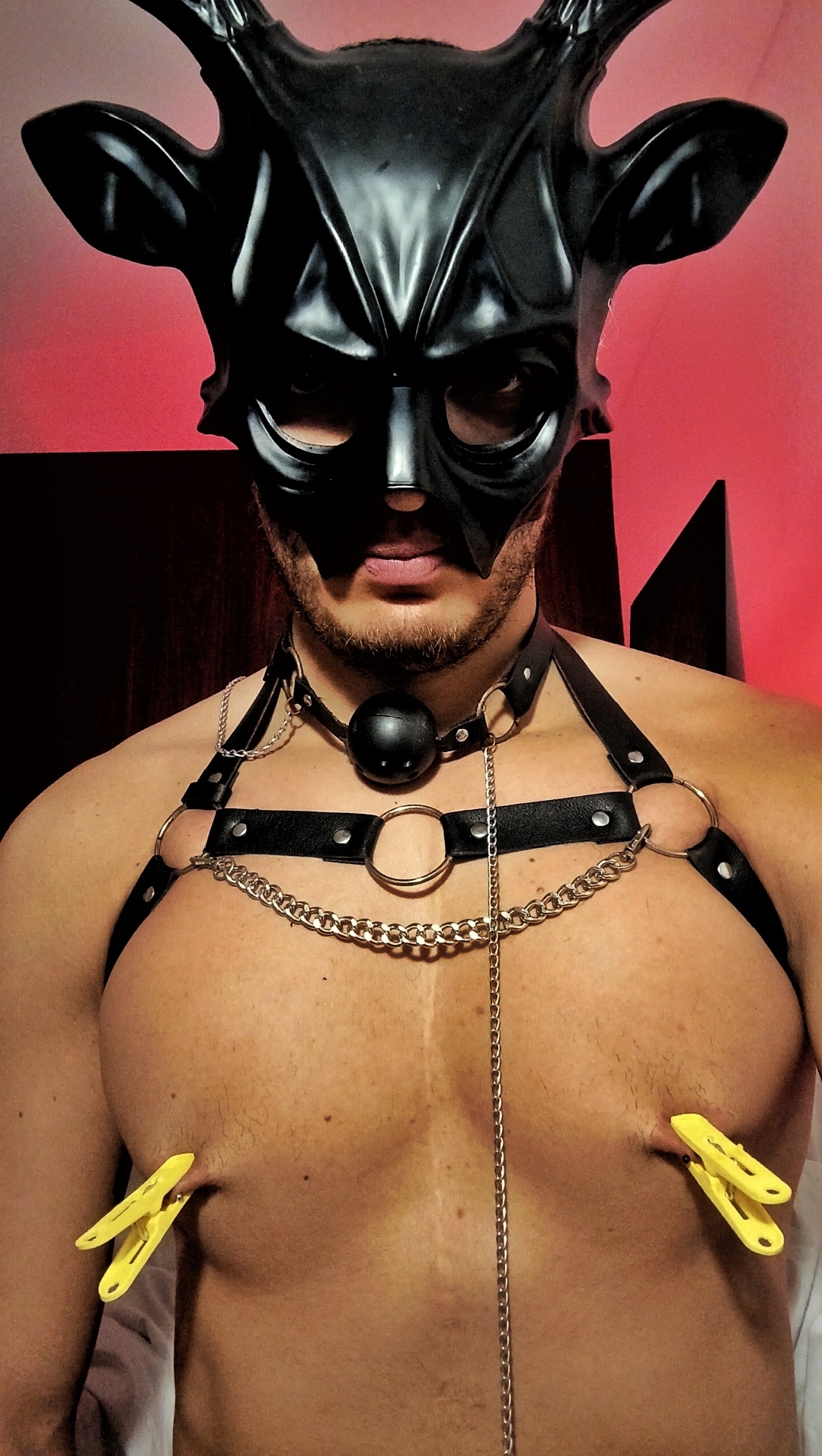 Intérprete david044 Foto 1