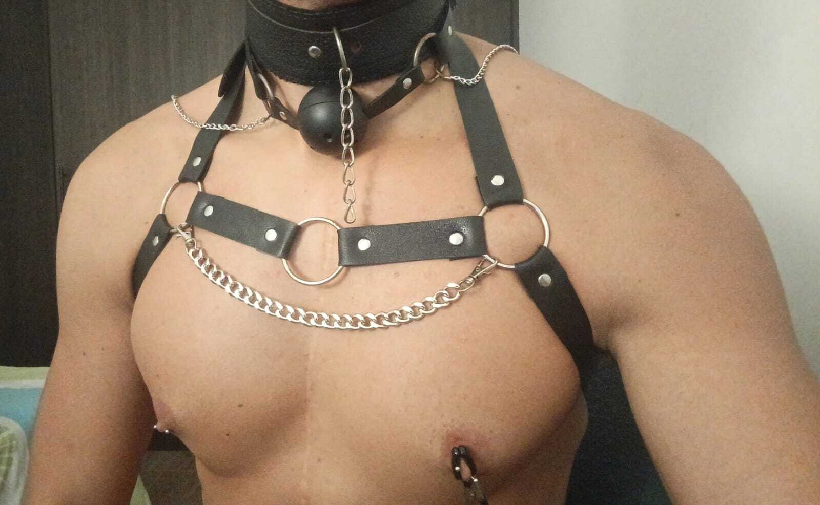 Intérprete david044 Foto 11