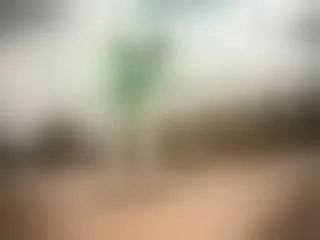 Sk8boardJ