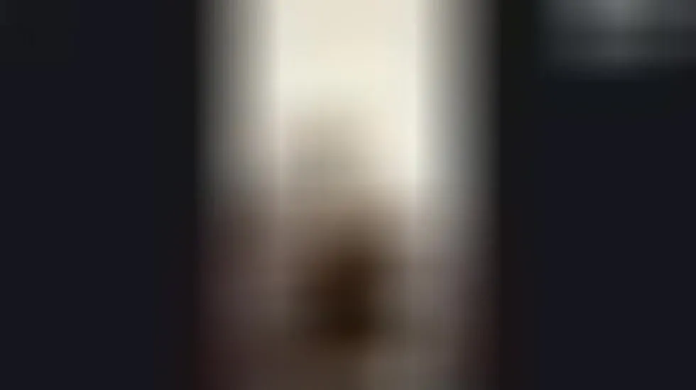 Artiest david_gacria149 Video 1
