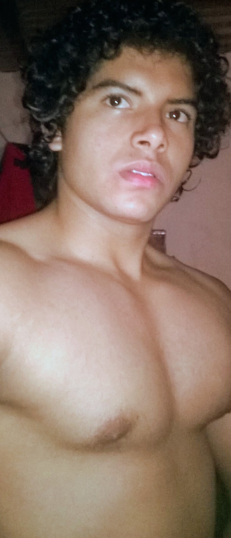 Interprete Alanelrufus5050 Foto 1