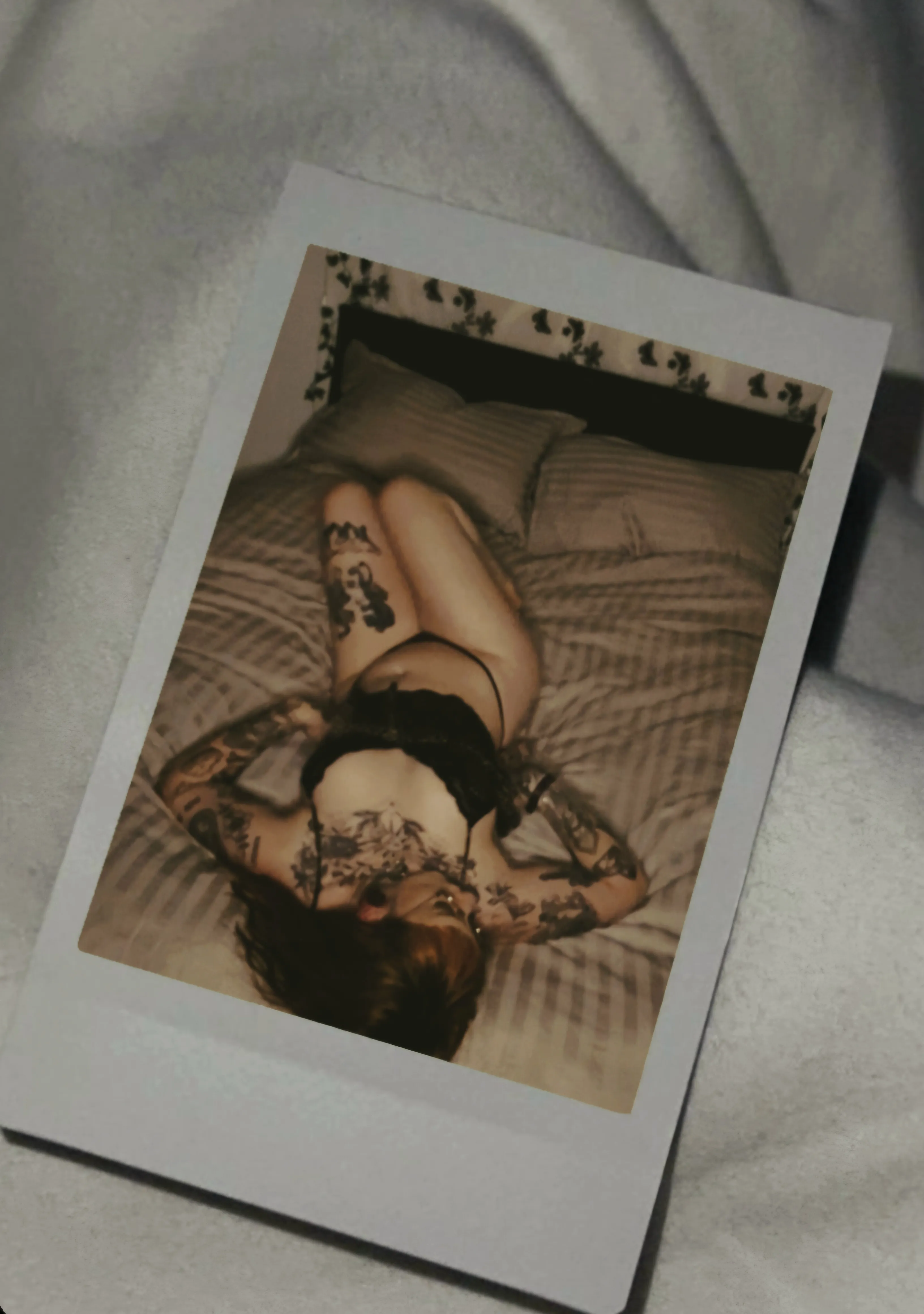 Interprète TaraNoire Photo 2