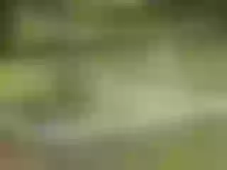 Image de profil du modèle de webcam DaimondTi