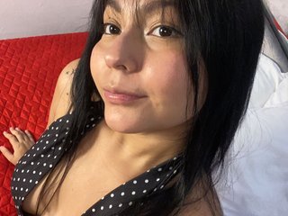 Ariel_Brake immagine del profilo del modello di cam