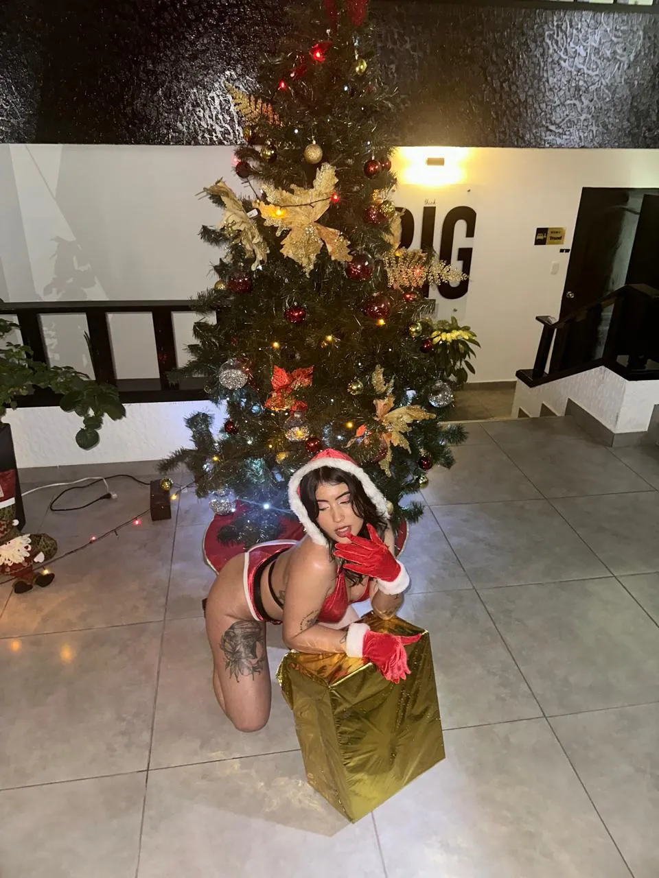 Artiest AriaSwan Foto 12