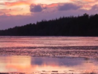 Profilbilde av RoslilyBloom webkamera modell