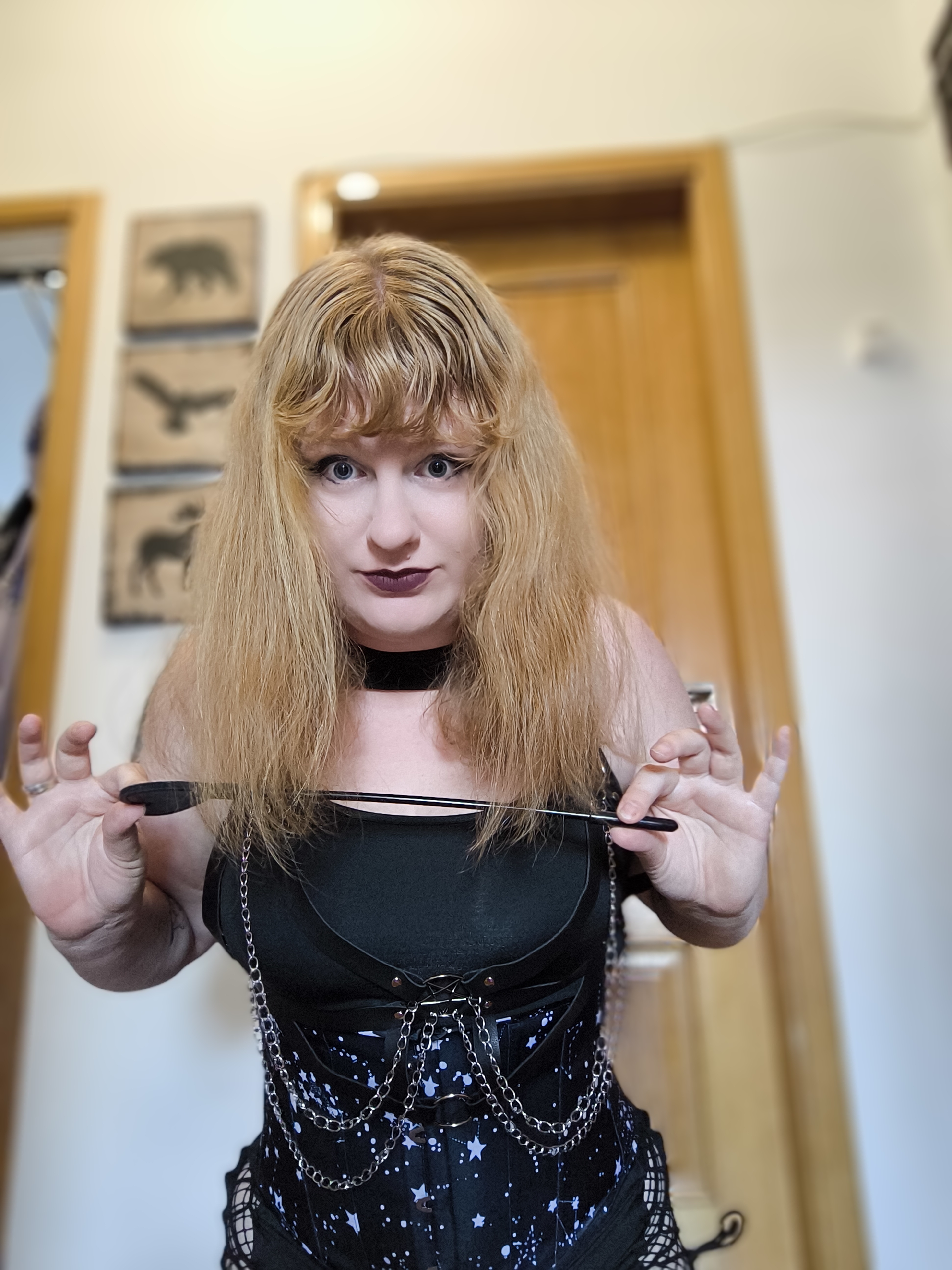 Artiest Eviebug Foto 6