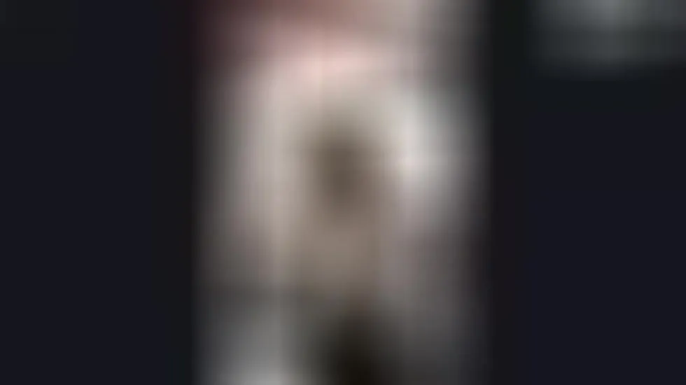 Artista SofiaSins Video 1