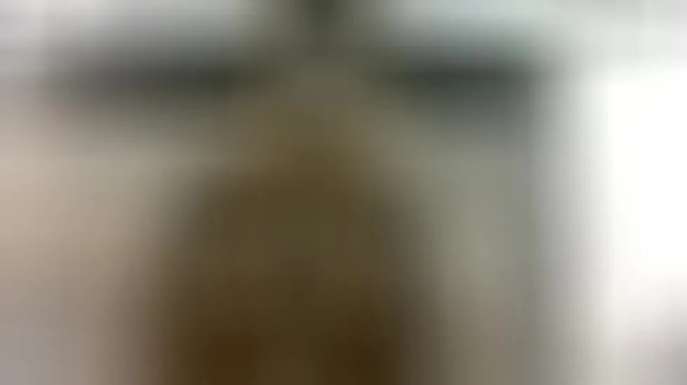 Darsteller GiselleSanchez Video 1
