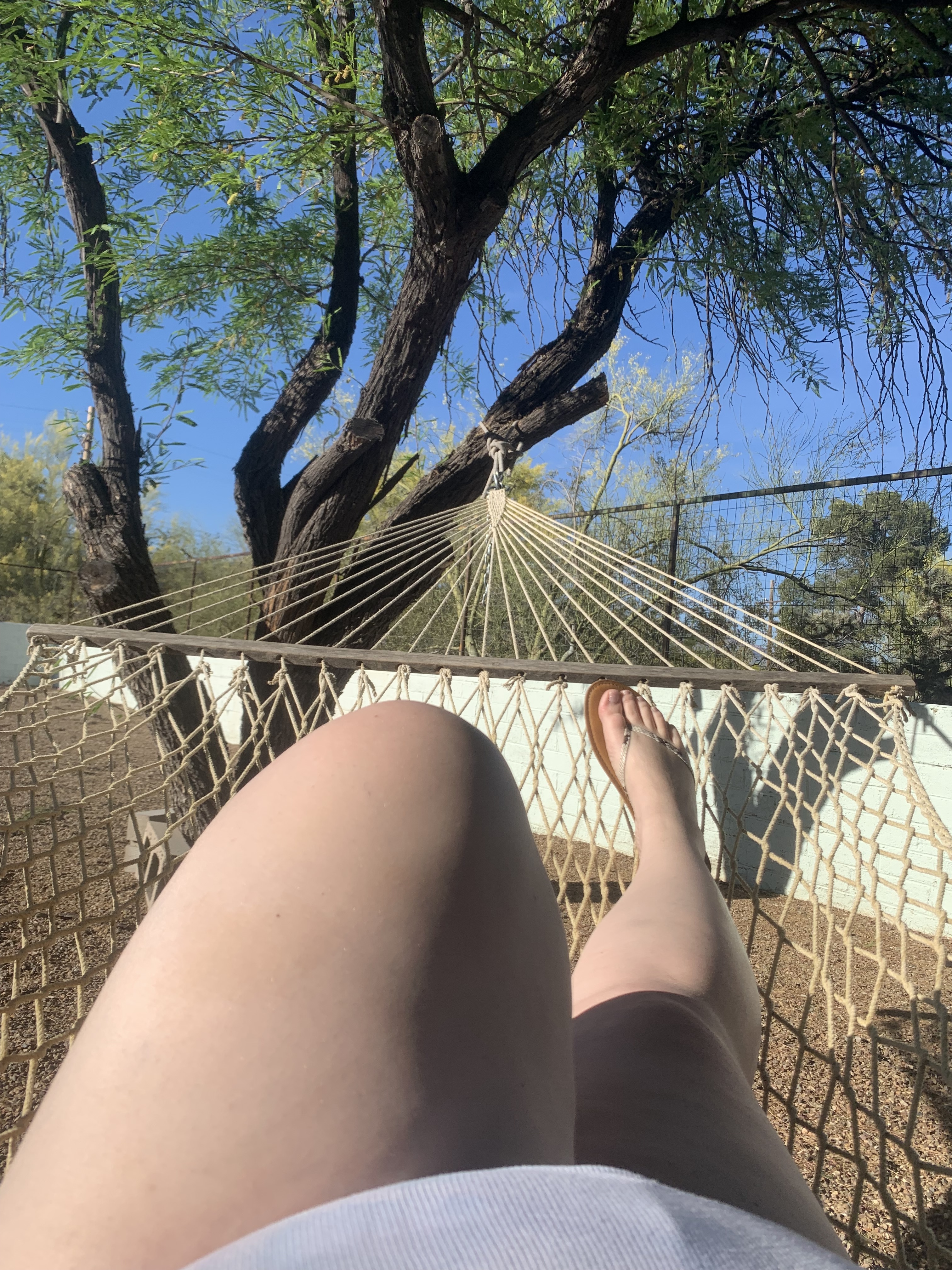 Interprete Cinnamon90 Foto 1