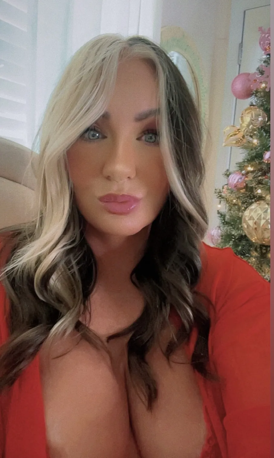 Interprète Stifflersmommm Photo 1