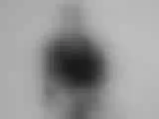 Image de profil du modèle de webcam jack_sullivann