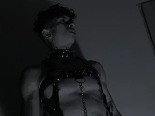 Image de profil du modèle de webcam Maximoking