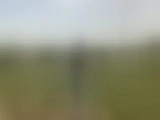 TinyGlad