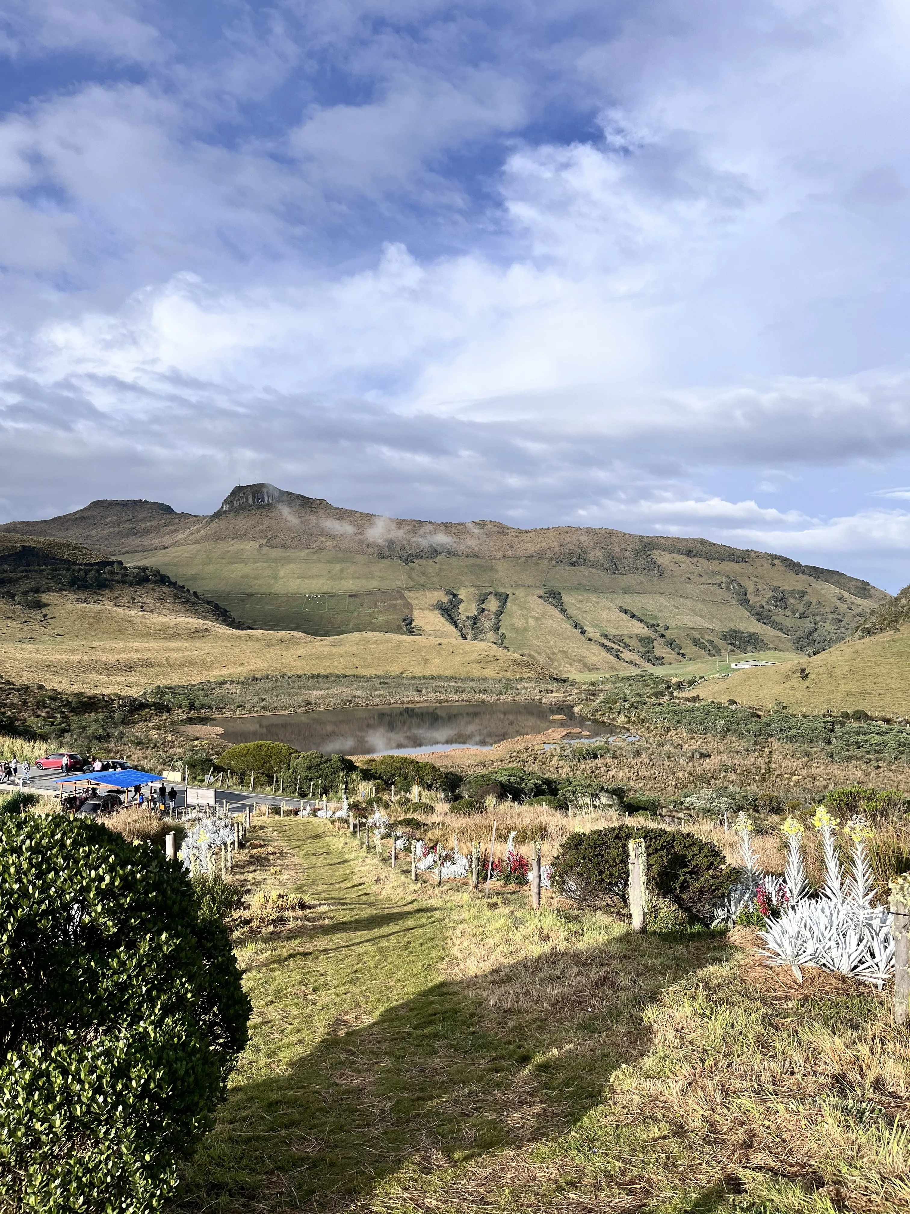 Utøver LyssaRous Bilde 9