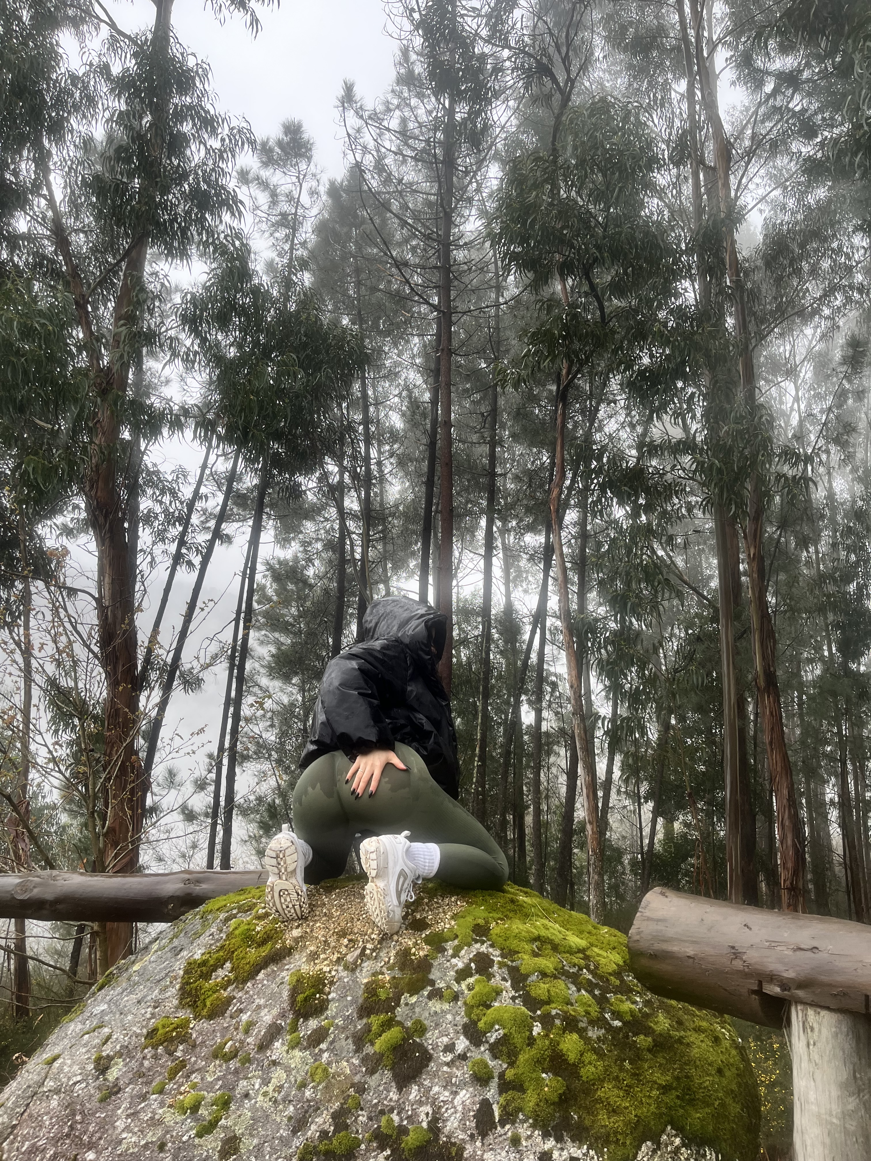 Utøver rossilari Bilde 1