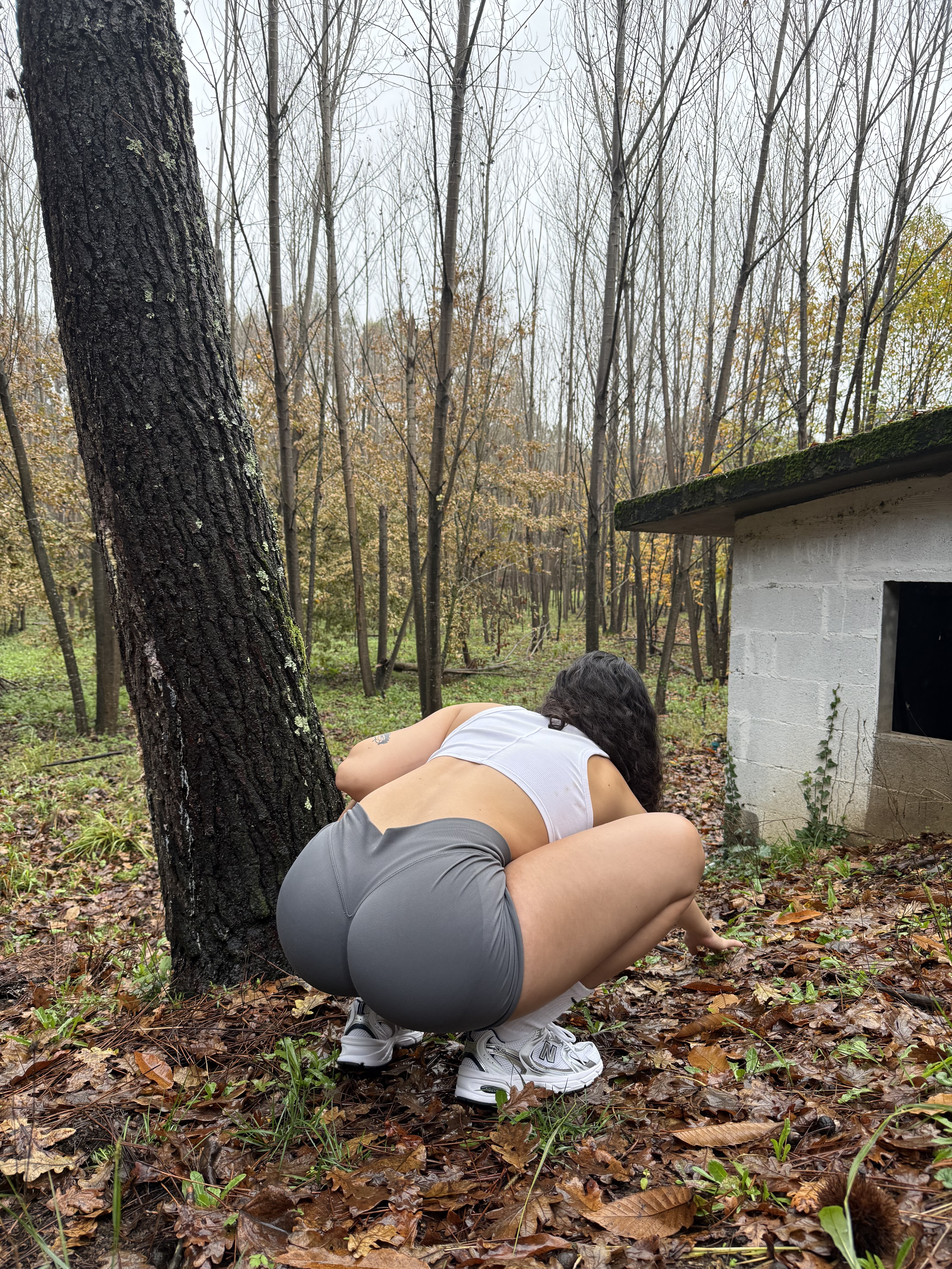 Intérprete rossilari Foto 2