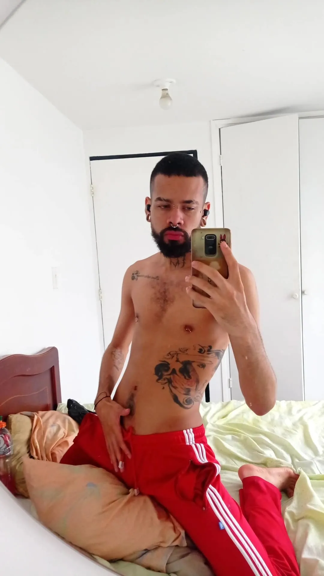 Interprète SALOMONNEXTD00R Photo 1